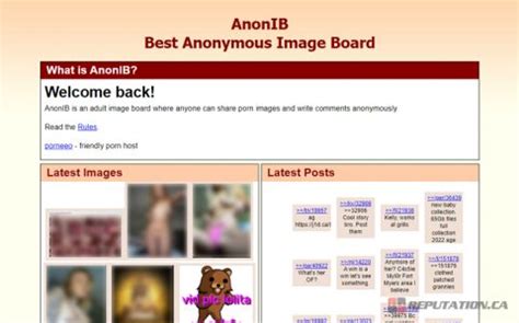 what is anon ib|Massive revenge porn site Anon